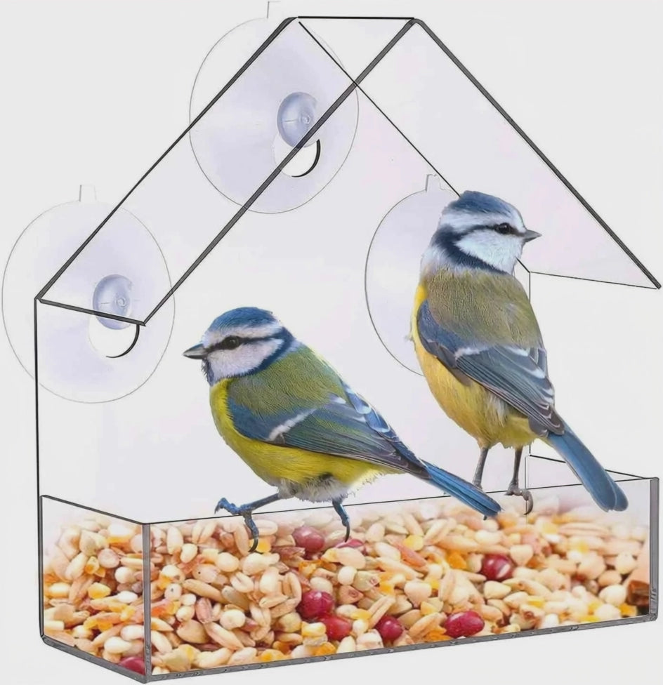 Video for Acrylic Window Bird Feeder — Experience Nature Up Close with Our Easy-Mount Design