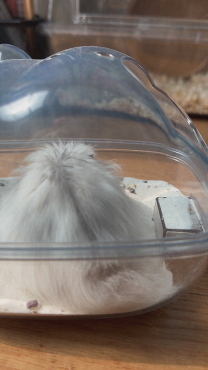 Hamster Bath Splash-proof Sand Bath - Keep Your Furry Friend Clean and Happy
