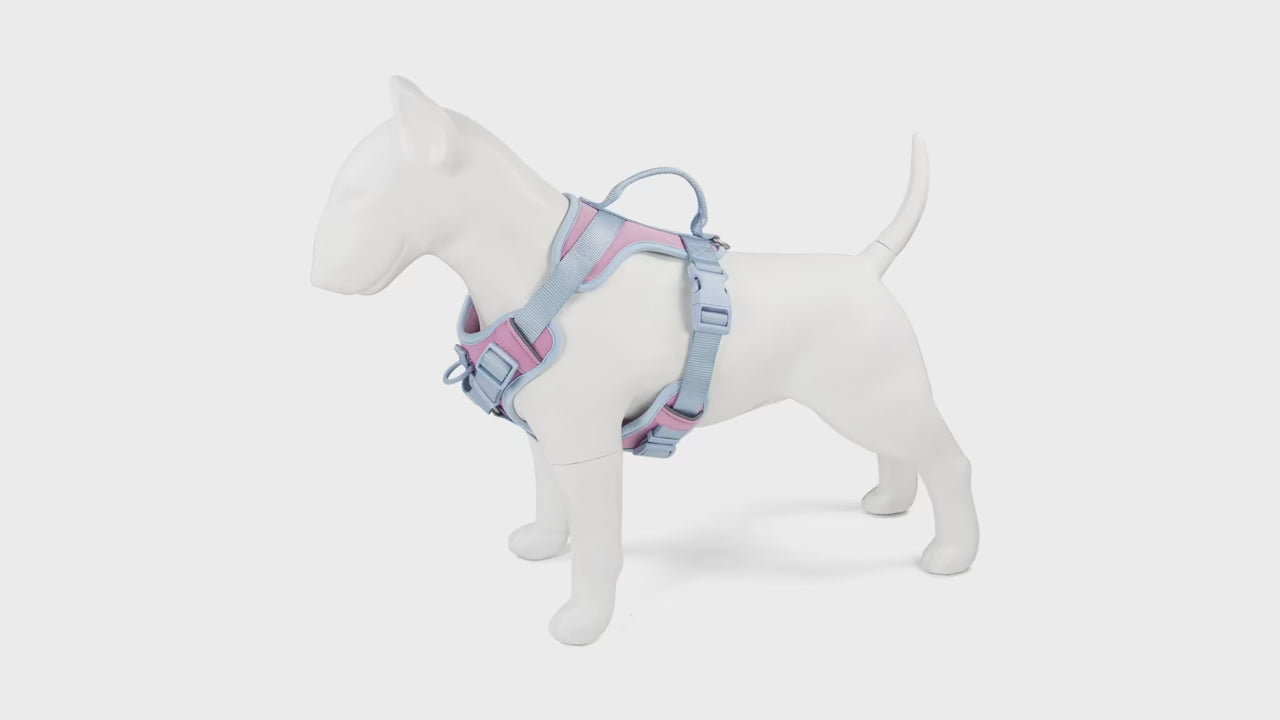 Luxury Dog Harness No Pull - Adjustable, Breathable, Customizable for Ultimate Comfort