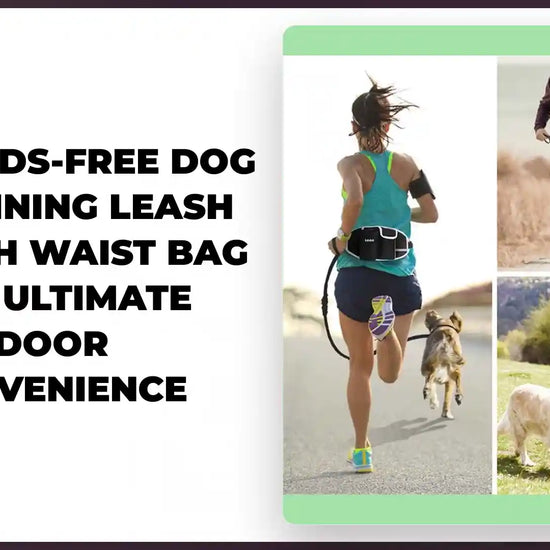 Hands-Free Dog Training Leash with Waist Bag for Ultimate Outdoor Convenience by@Outfy