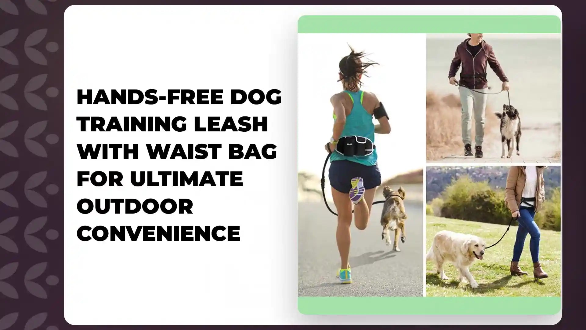 Hands-Free Dog Training Leash with Waist Bag for Ultimate Outdoor Convenience by@Outfy