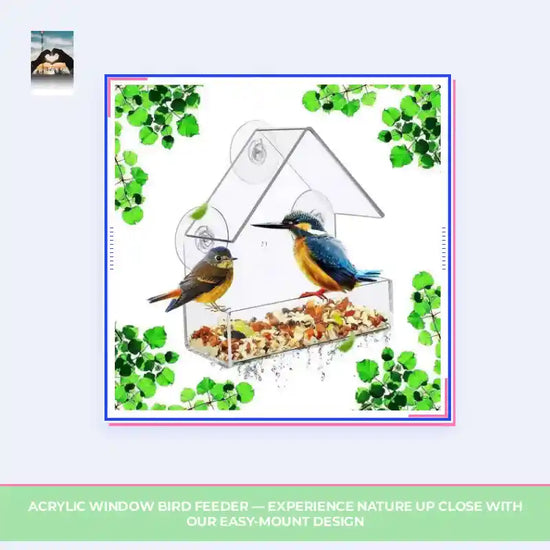 Acrylic Window Bird Feeder &mdash; Experience Nature Up Close with Our Easy-Mount Design by@Outfy