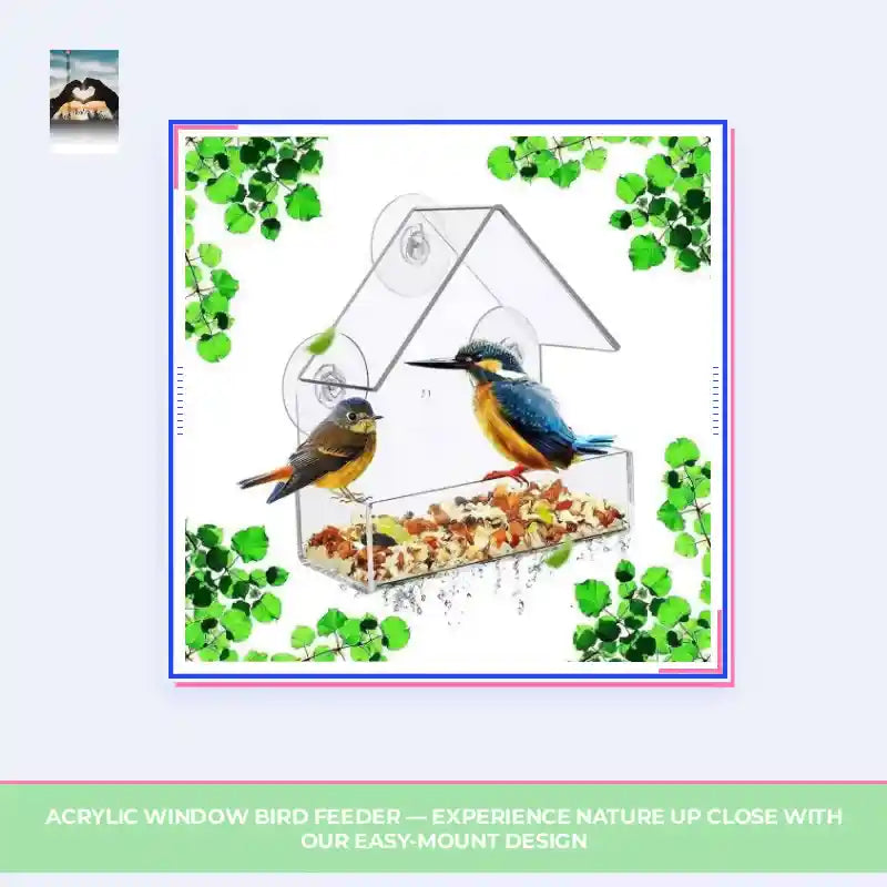 Acrylic Window Bird Feeder &mdash; Experience Nature Up Close with Our Easy-Mount Design by@Outfy