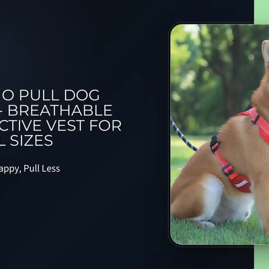 Nylon No Pull Dog Harness - Breathable and Reflective Vest for All Sizes by@Outfy