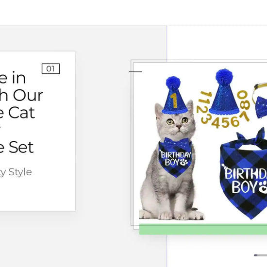 Celebrate in Style with Our Adorable Cat Birthday Costume Set by@Outfy