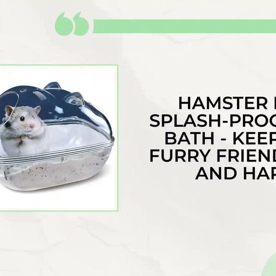 Hamster Bath Splash-proof Sand Bath - Keep Your Furry Friend Clean and Happy by@Outfy