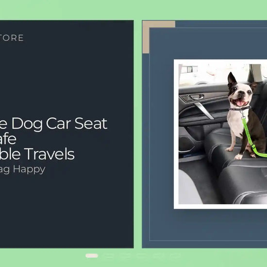Adjustable Dog Car Seat Belt for Safe Comfortable Travels by@Outfy