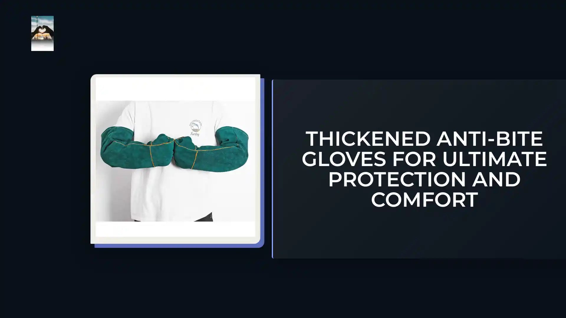 Thickened Anti-Bite Gloves for Ultimate Protection and Comfort by@Outfy
