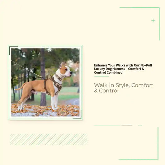 Enhance Your Walks with Our No-Pull Luxury Dog Harness &ndash; Comfort &amp; Control Combined by@Outfy