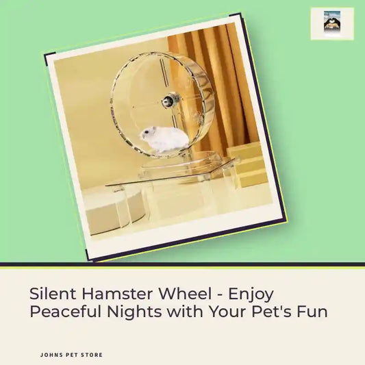 Silent Hamster Wheel - Enjoy Peaceful Nights with Your Pet's Fun by@Outfy