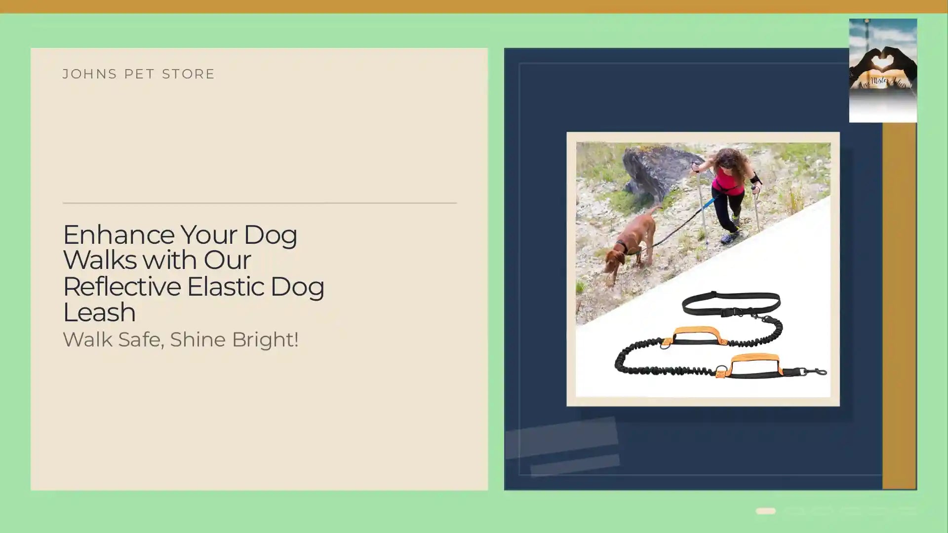 Enhance Your Dog Walks with Our Reflective Elastic Dog Leash by@Outfy