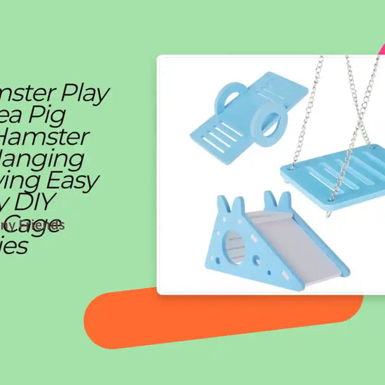 3Pcs Hamster Play Toy Guinea Pig Seesaw Hamster Ladder Hanging Chain Swing Easy Assembly DIY Hamster Cage Accessories by@Outfy
